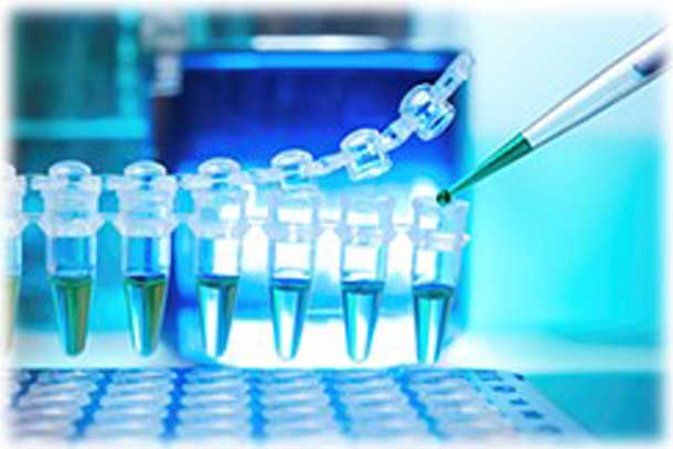 Cisapride Monohydrate Exporters